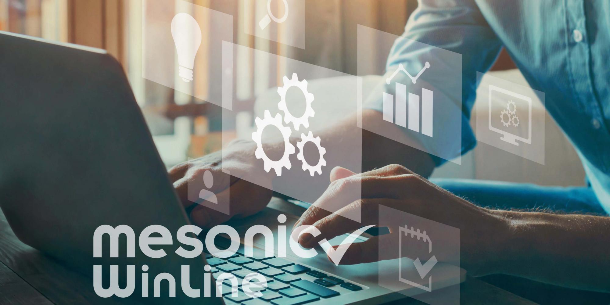 mesonic WinLine: modular business software